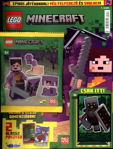 Lego Minecraft magazin