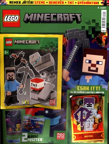 Lego Minecraft magazin