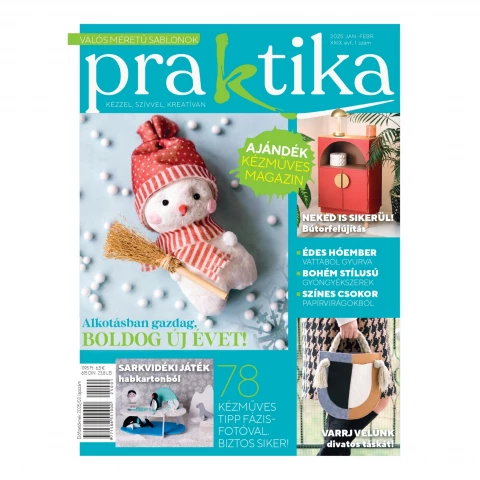 Praktika