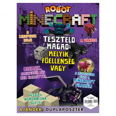 Robot Minecraft