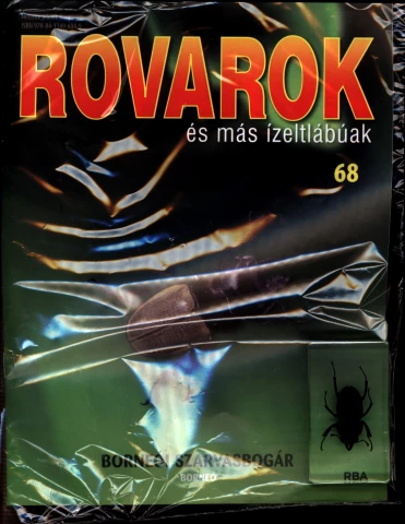 Rovarok és más ízeltlábúak